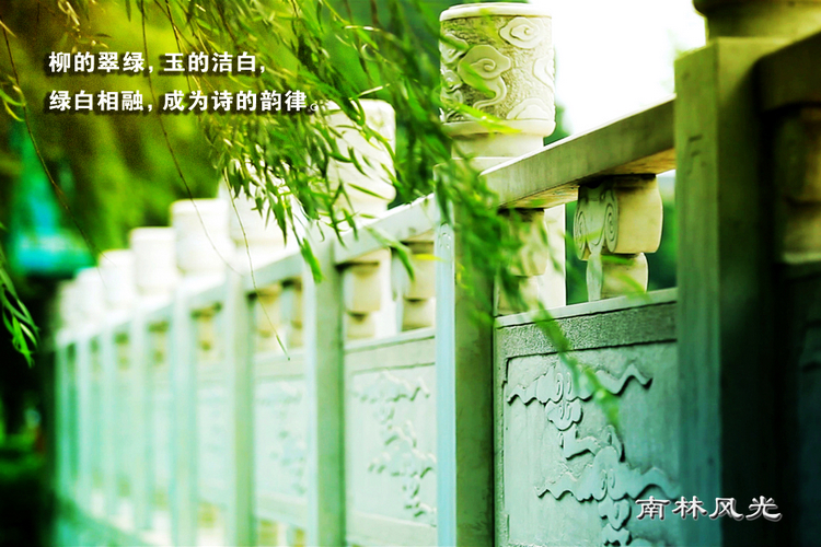 南京林业大学-校园风光8.jpg