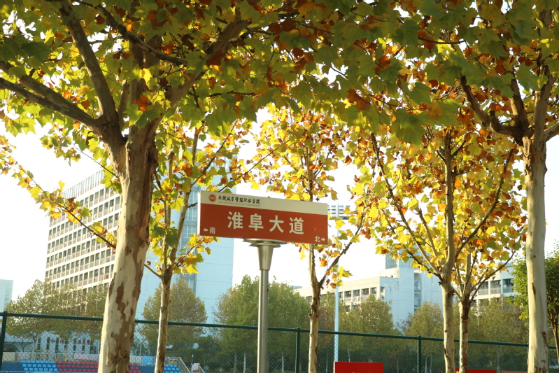 安徽城市管理学院综合实力有多强？为何是安徽2026择校最优选