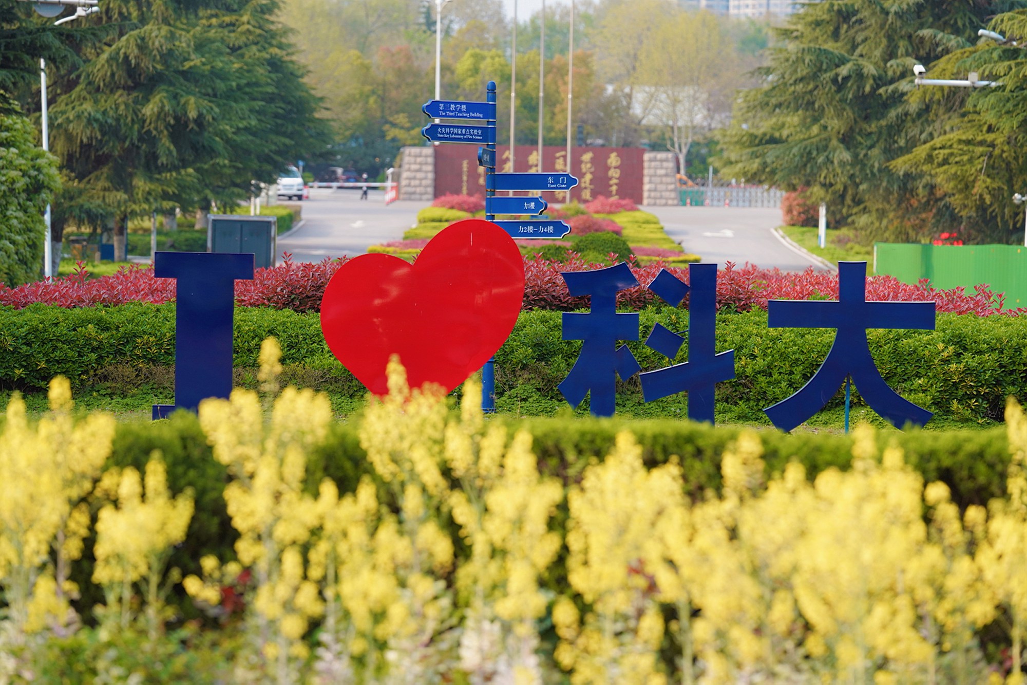 2026中科大强基计划：新增三大专业和方向，“科学家的摇篮”顶级快车道