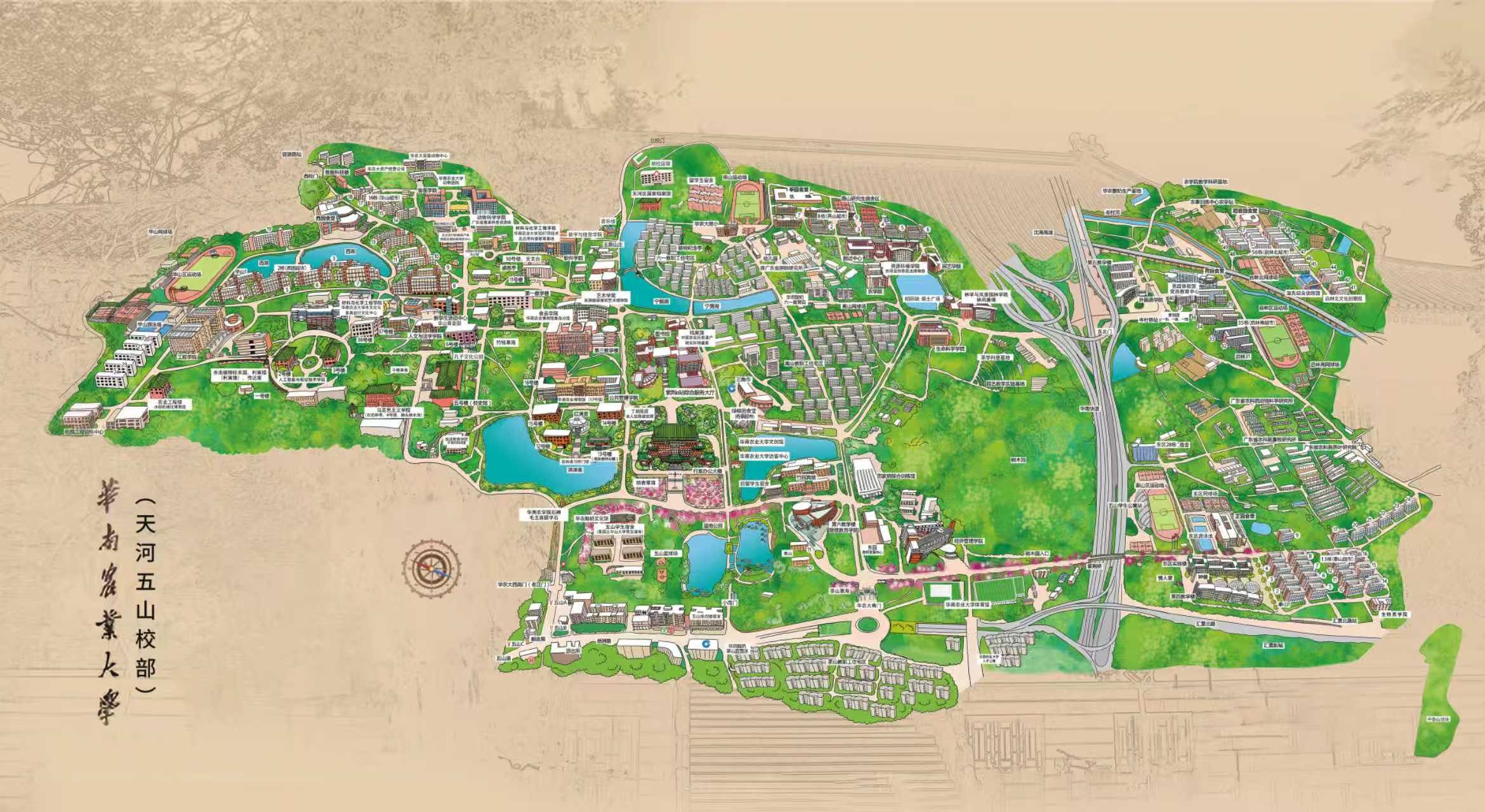 华南农业大学丁颖创新班VS中外合作办学项目：有什么区别？值不值得报？