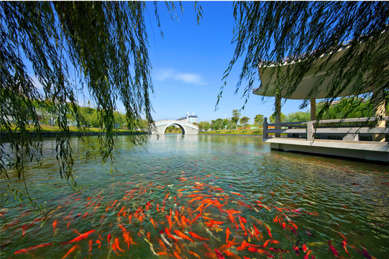 广东高考300分以下｜历史类/物理类民办专科院校推荐