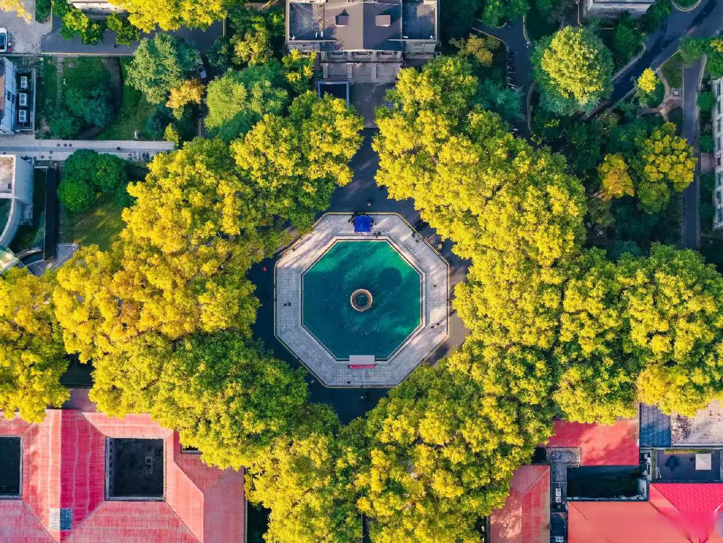 2026东南大学新工科选专业：为中国下一个科技风口培养拔尖人才