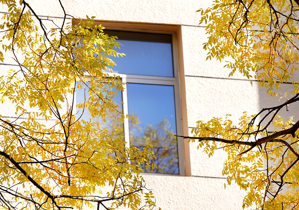 高考同样分数，是选外省211，还是选北京的首都经济贸易大学？