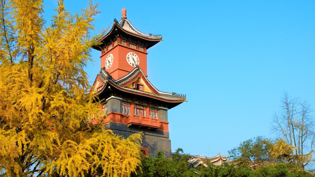 2026年川大最新数据：64%毕业生就业扎根成渝，玩转“地利”