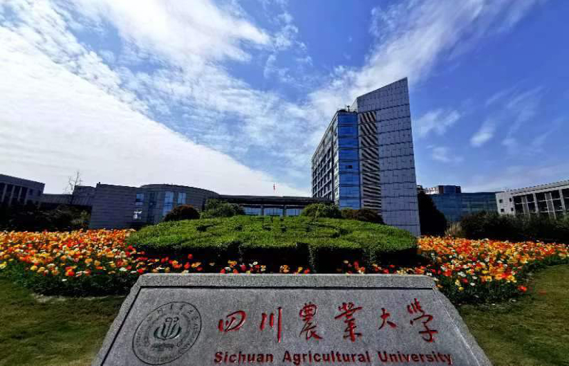 四川农业大学.jpeg