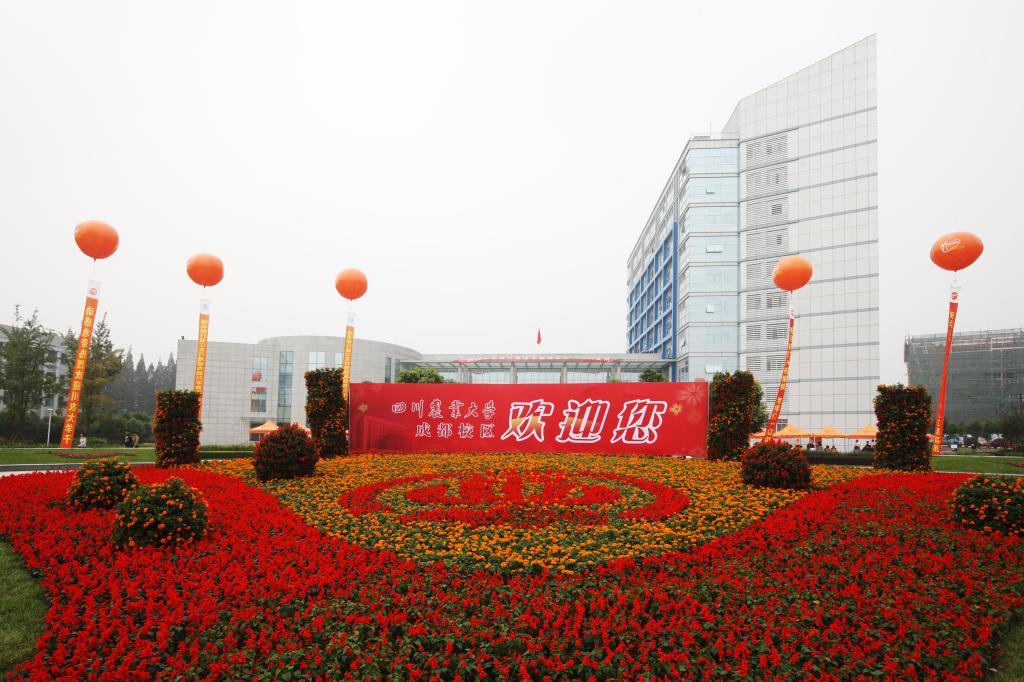 2026深度解析：为什么说川农大是四川学风最好高校之一