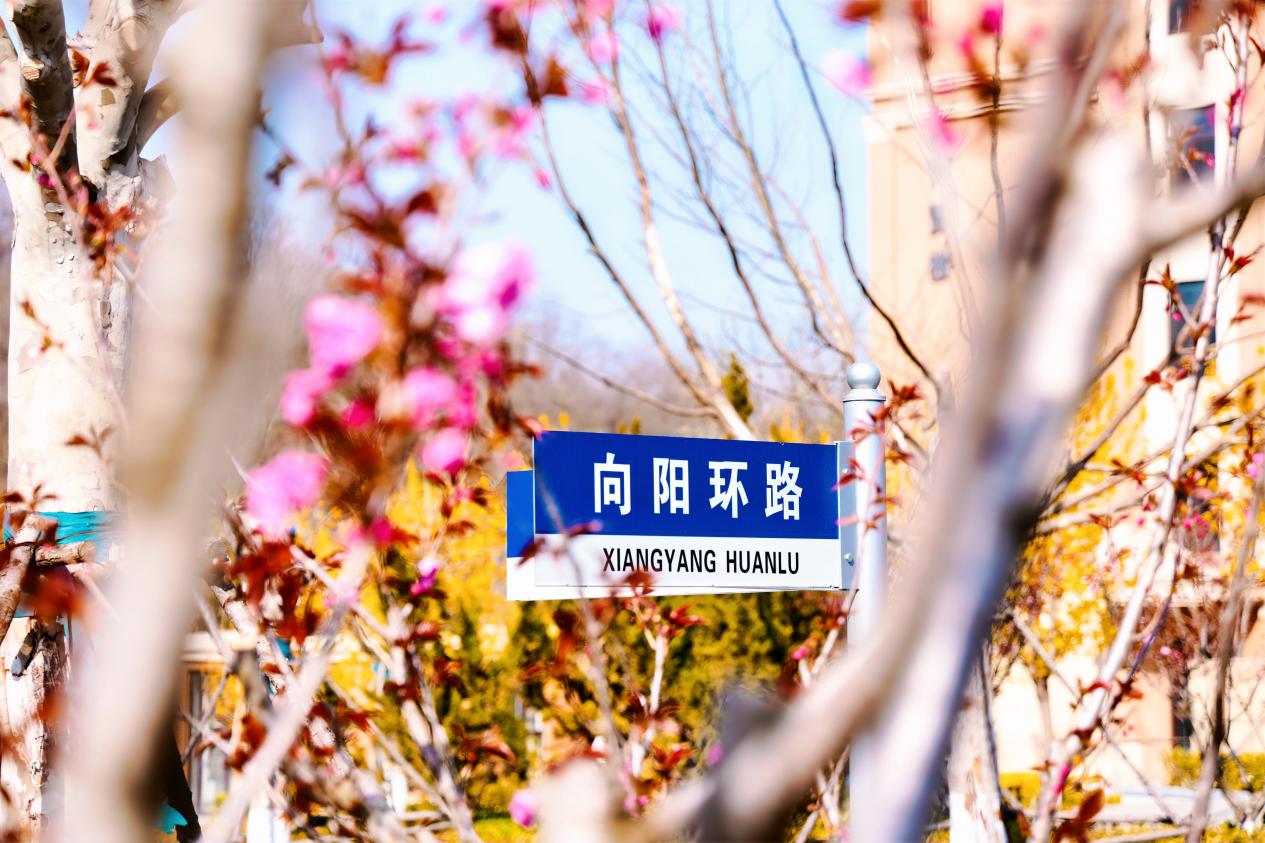 辽宁高考物理类400-450分段，有什么高校推荐