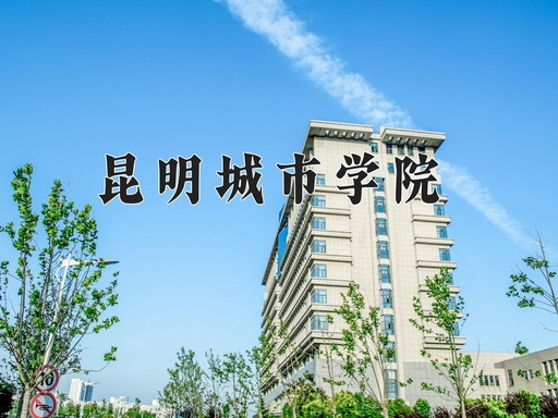 upload/aiseo/org_1/2287/20260512/6a02a4ea32a6f99204.png