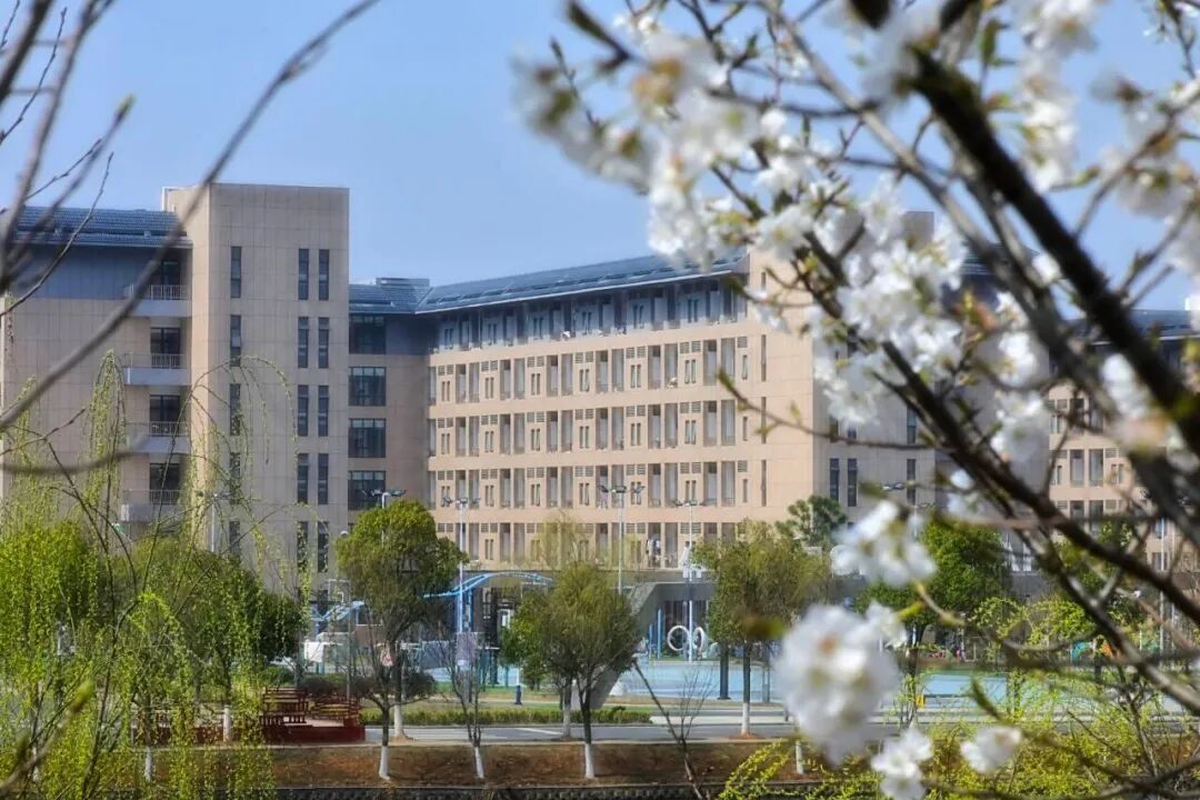 安徽考生461分能上什么大学？安信工深度解读：从分数到就业的完整路径
