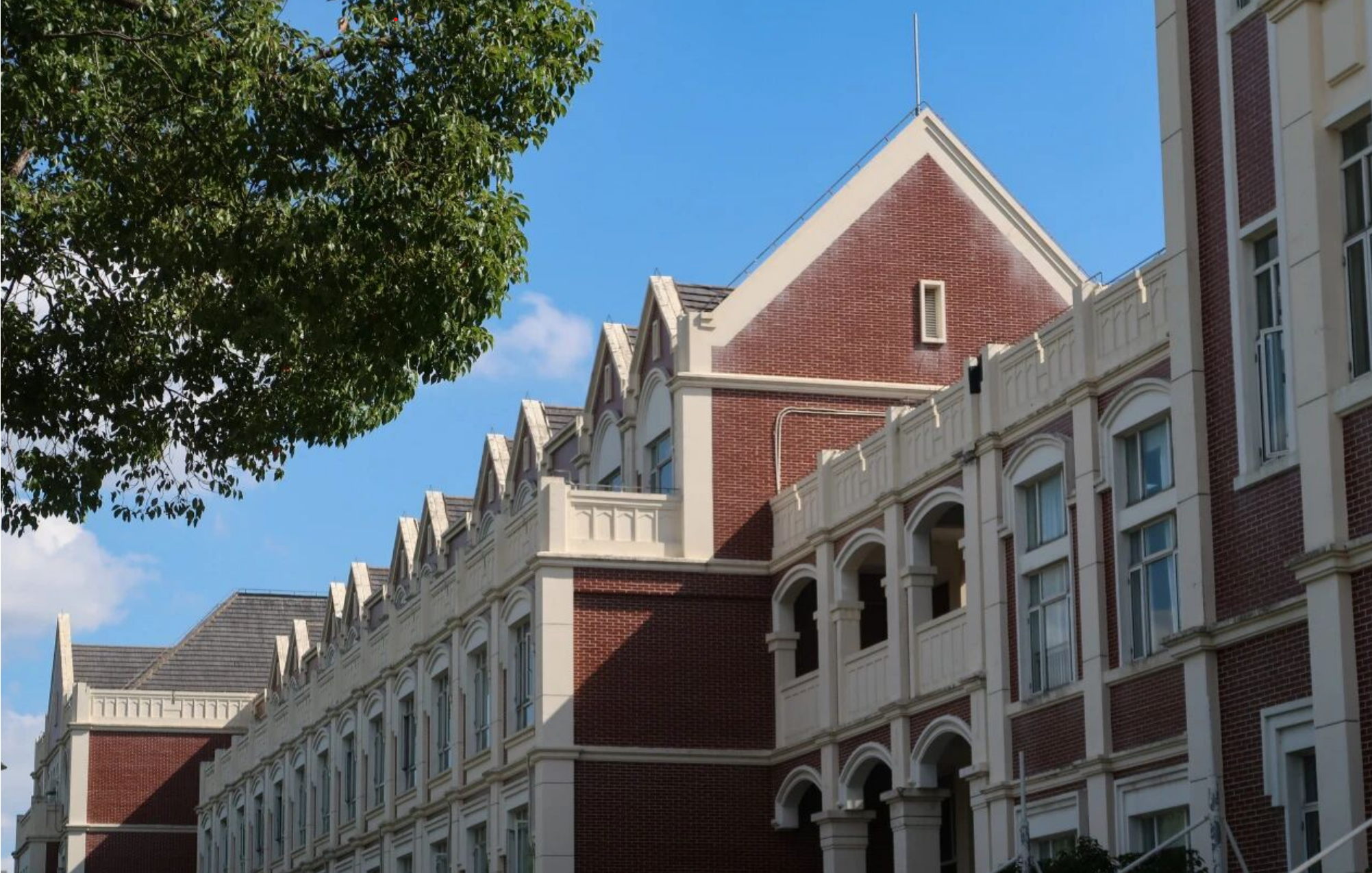 未来想做国际贸易，上海有哪些大学值得考虑？