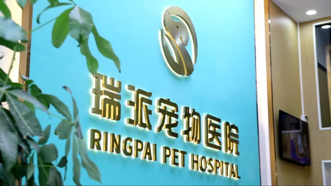 60b3445d-7929-4045-b058-47feb4dce55f.png