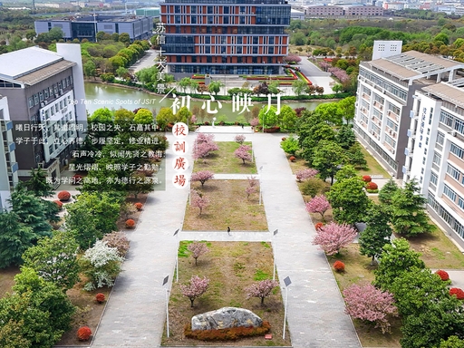 8e38bcd1d72095dc7537f3be76121167~tplv-a9rns2rl98-pc_smart_face_crop-v1_512_384.jpg