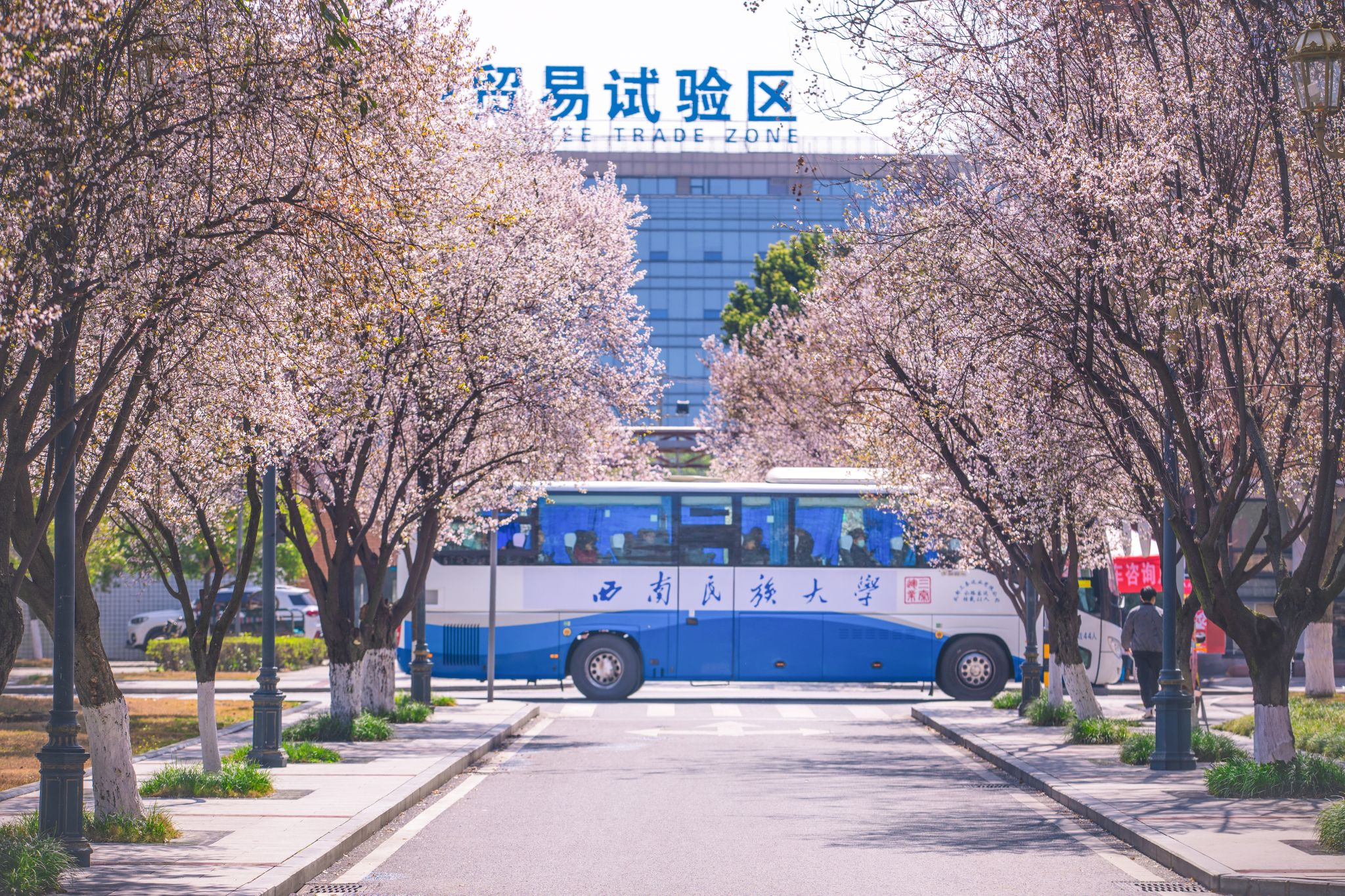 upload/aiseo/org_1/2287/20260527/6a16e4523093420559.png