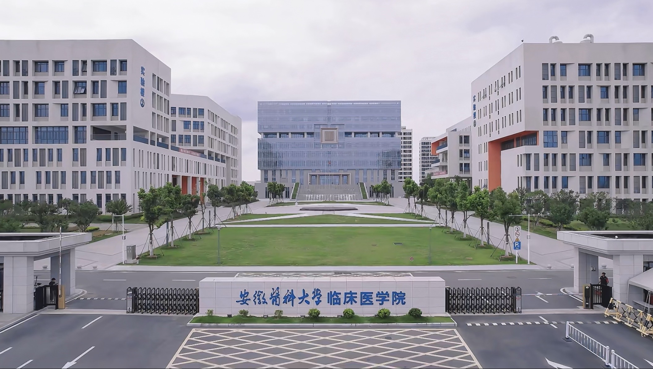安徽医科大学临床医学院.jpg