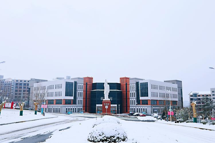 大连财经学院就业去向分析：银行与会计师事务所录用数据解读