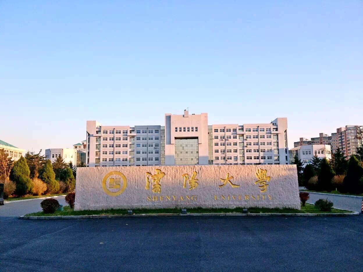 沈阳大学考研升学率与就业质量深度解析