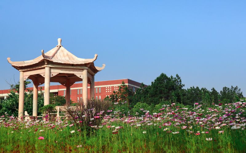 深入分析南昌职业大学升学出路：专升本考情分析与考研支持