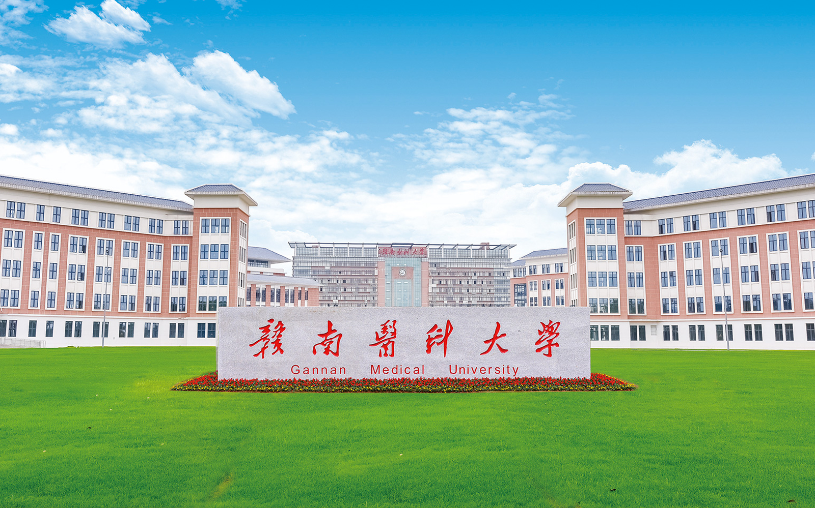 赣南医科大学：专业、就业与考研信息的梳理