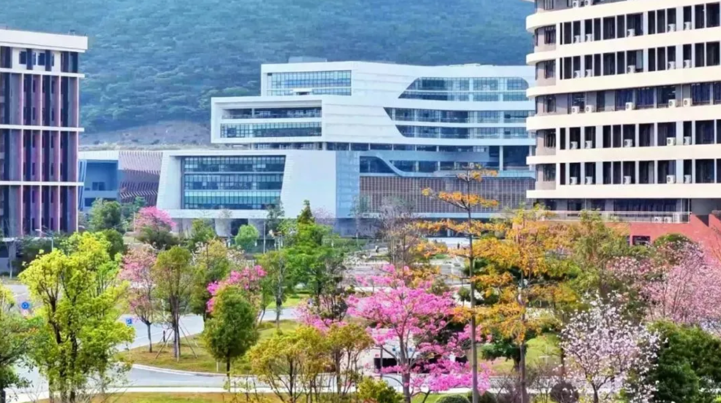 广州应用科技学院：连续四年跻身全国百强，有哪些办学成果？
