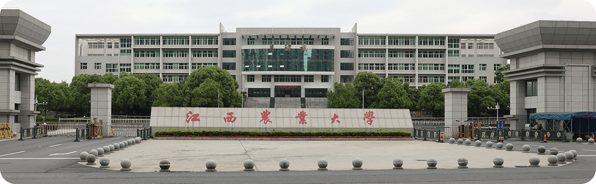 江西农业大学考研率高吗？基于公开数据的解读