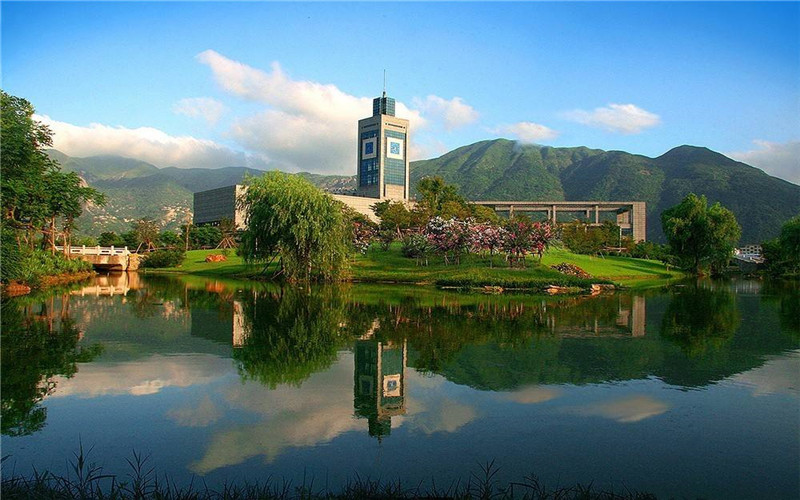 温州大学2026年有哪些中外合作办学的新专业？
