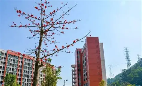 2026深度解析仲恺农业工程学院地理位置与生活便利度怎么样