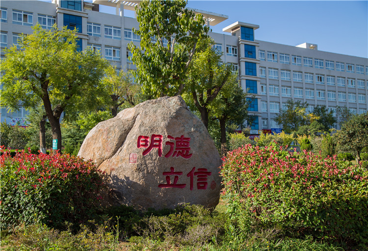 2026深度解析山东商务职业学院的毕业生就业情况