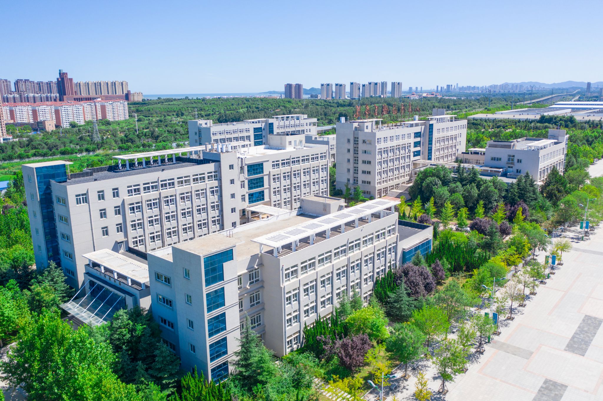 山东商务职业学院宿舍条件与校园环境介绍