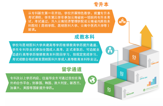 upload/aiseo/org_1/2287/20260622/6a3905ac65a4d66325.png