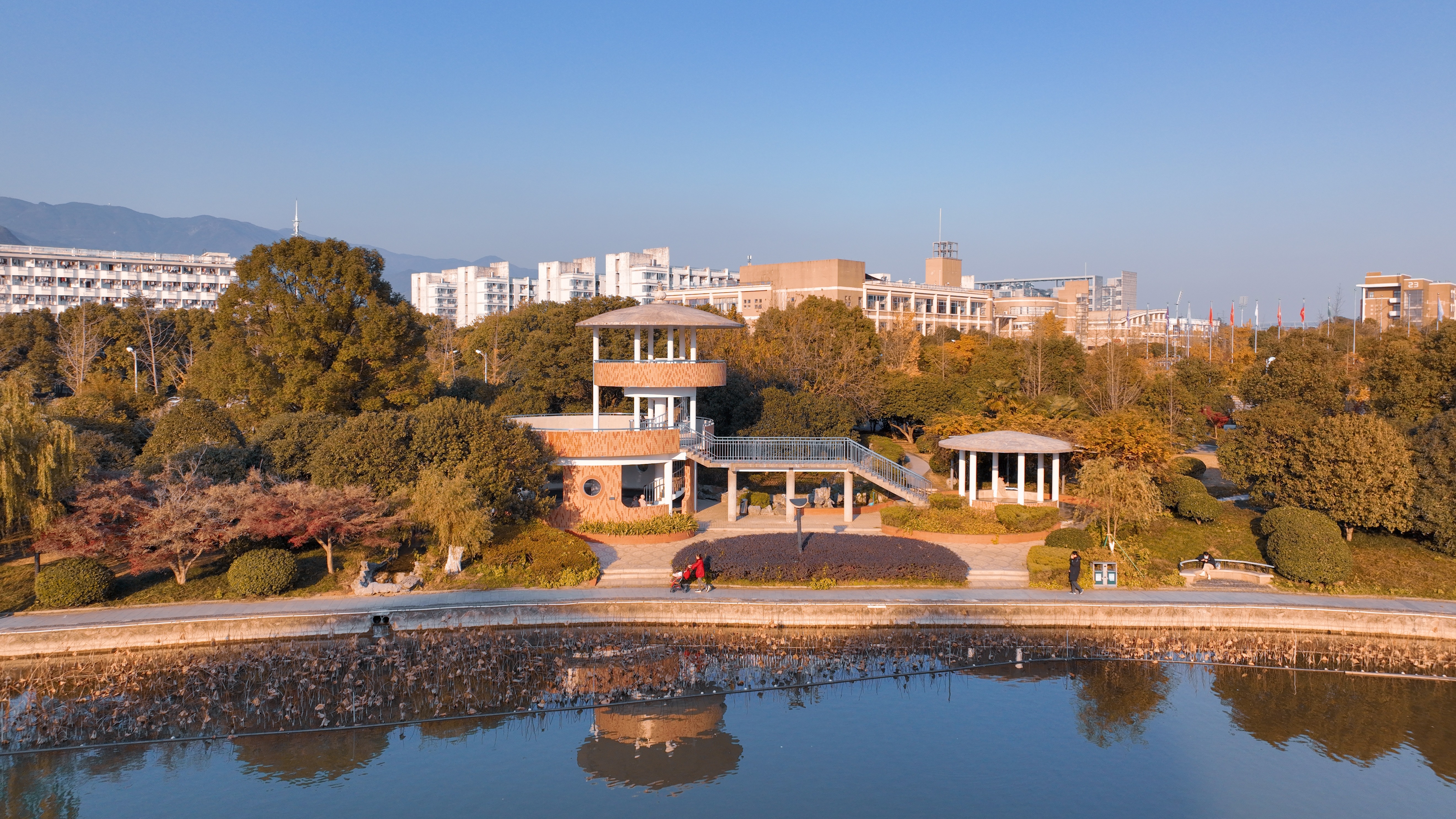 浙江师范大学人工智能紧密专业全览：智能科学、精准诊疗及机器人