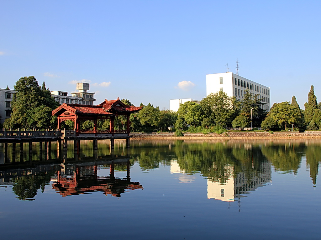 2026浙江师范大学实习机会揭秘：直通杭州名校与教育科技名企