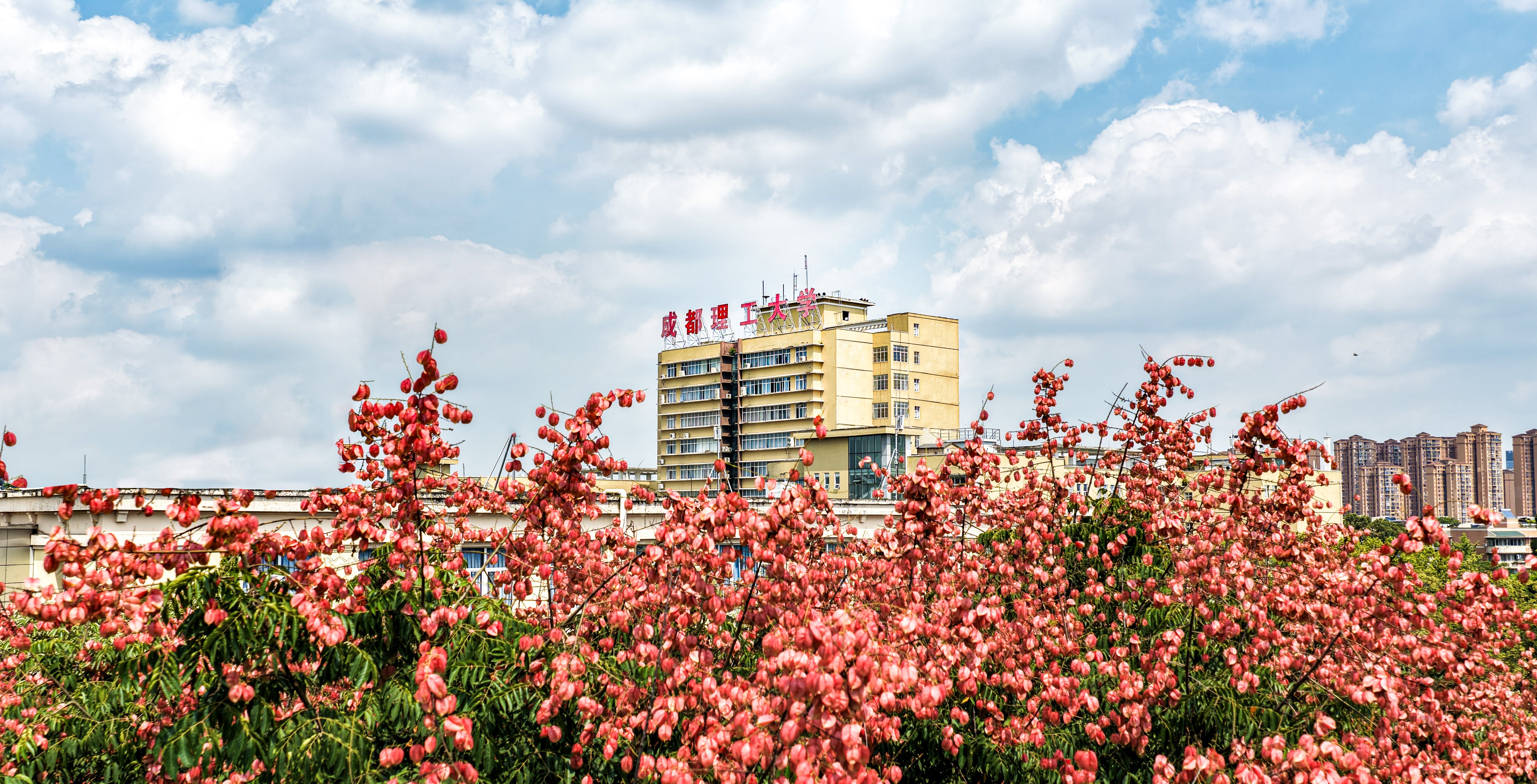 成都理工大学（主校区、宜宾校区）转专业政策