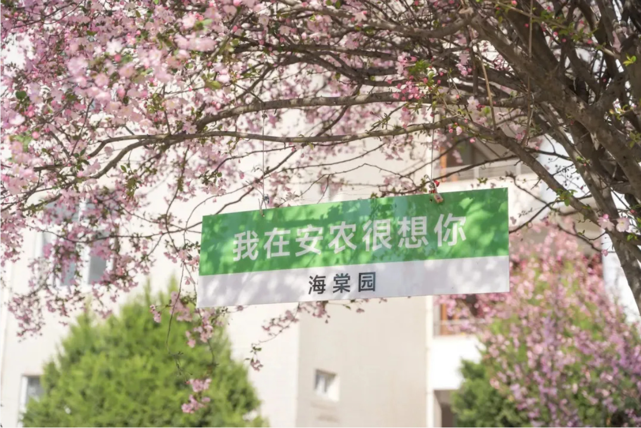 安徽农业大学26亮点：升学率超30%，上岸1700人，新增5个本科专业，3大学院首发