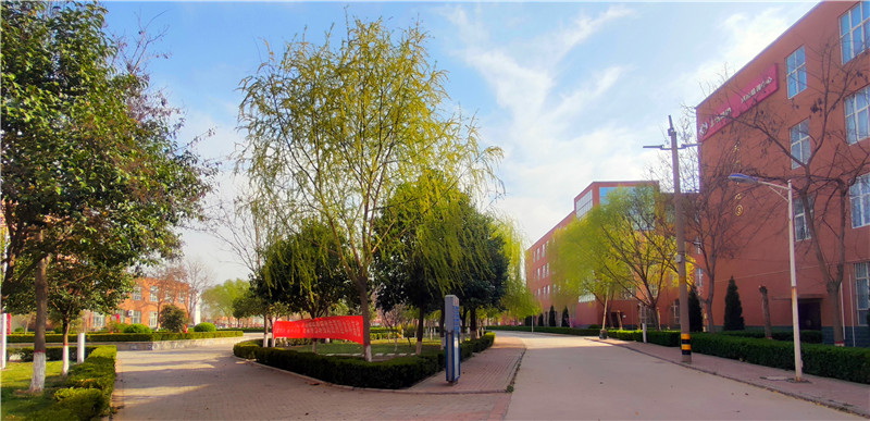 官方发布：黄河交通学院2026年本科招生计划，涵盖交通工经管