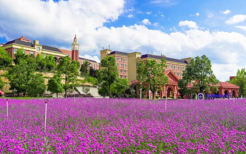 民办职业技术大学全国第六，解码贵州工商职业大学的崛起之路