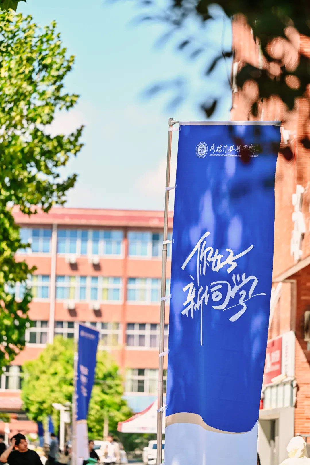 2026洛阳科技职业学院志愿填报及报考注意事项全梳理