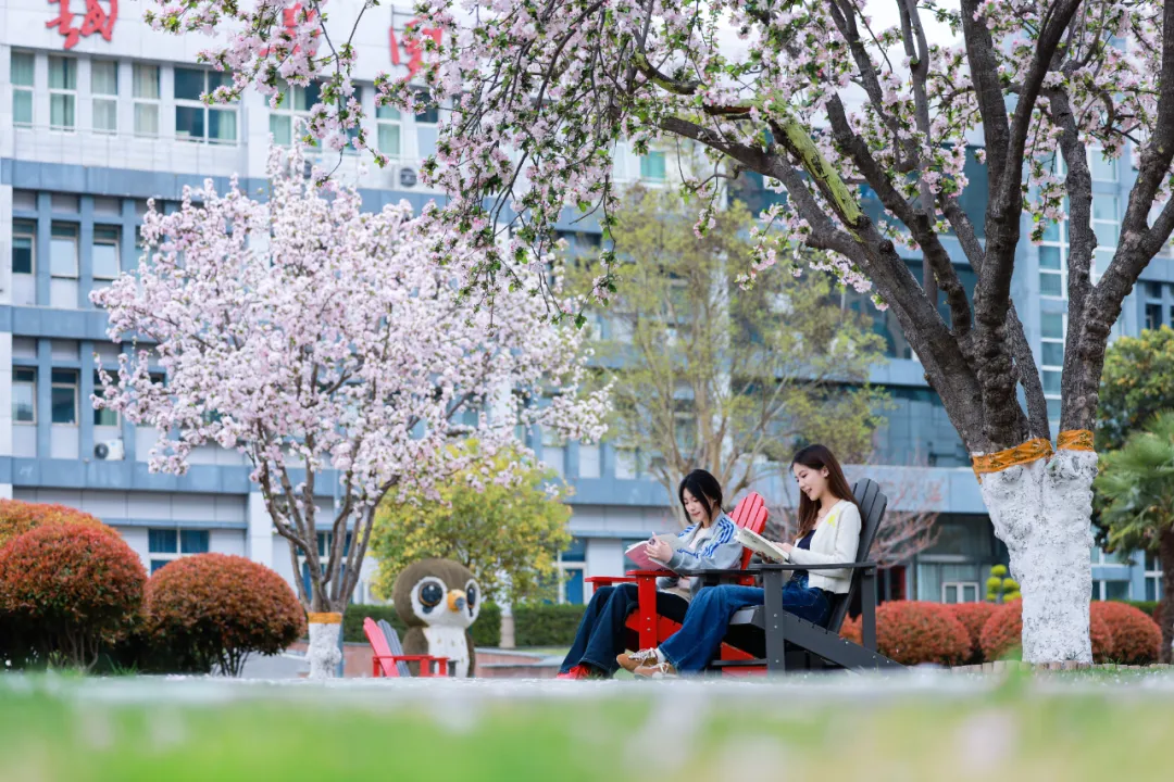 沉浸式探访校园公寓！郑州城市职业学院食宿配套环境实景介绍