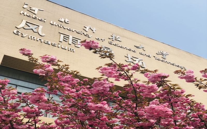 河北科技大学转专业政策
