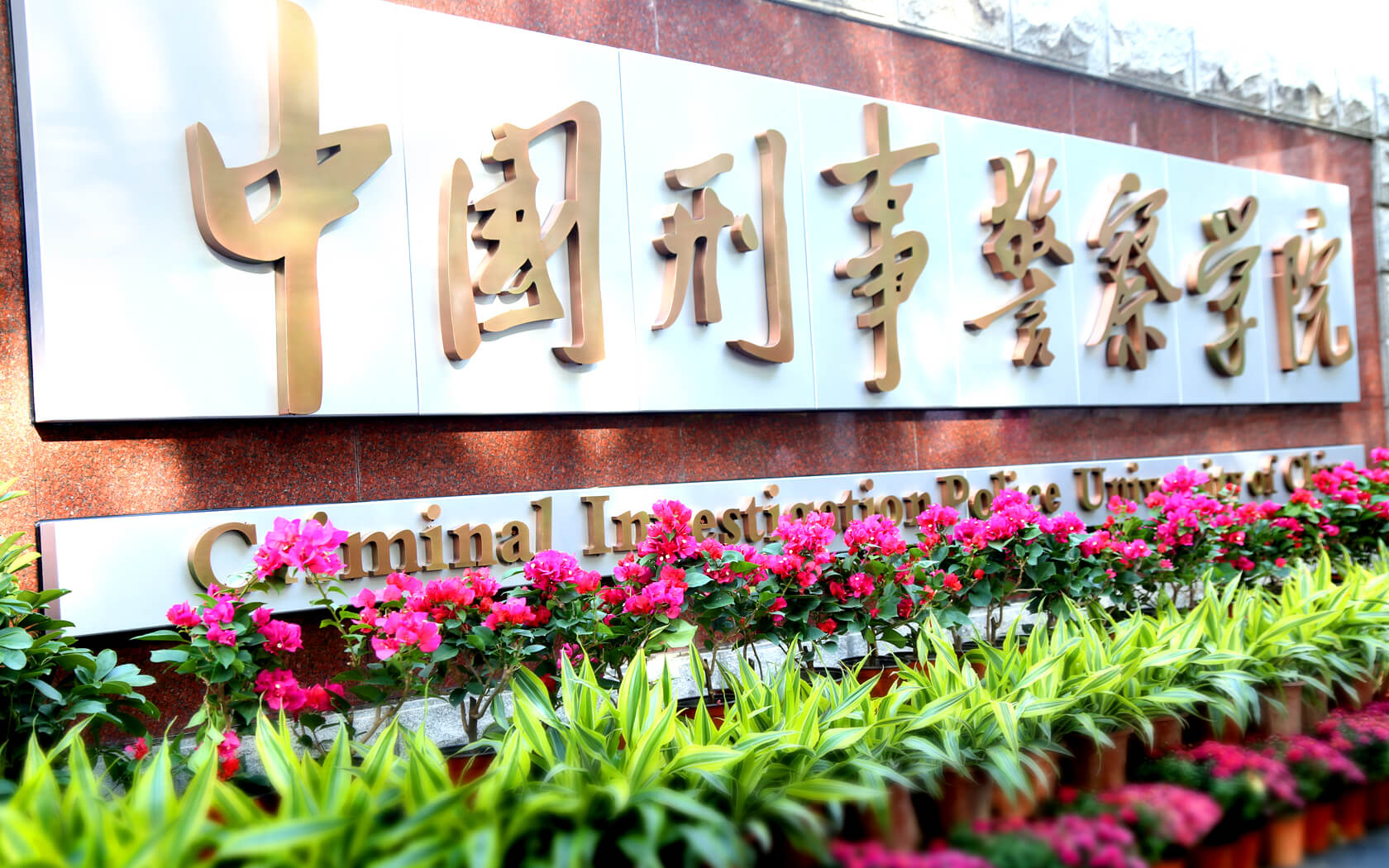 【2026高考】中国刑事警察学院王牌专业有哪些？一文看懂公安学与公安技术类