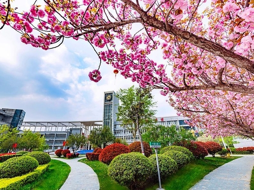 郑州城市职业学院2026发展概况一览