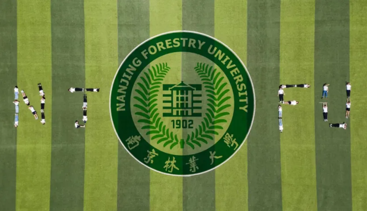 【2026高考】南京林业大学文科与设计类与转专业政策，一文看懂