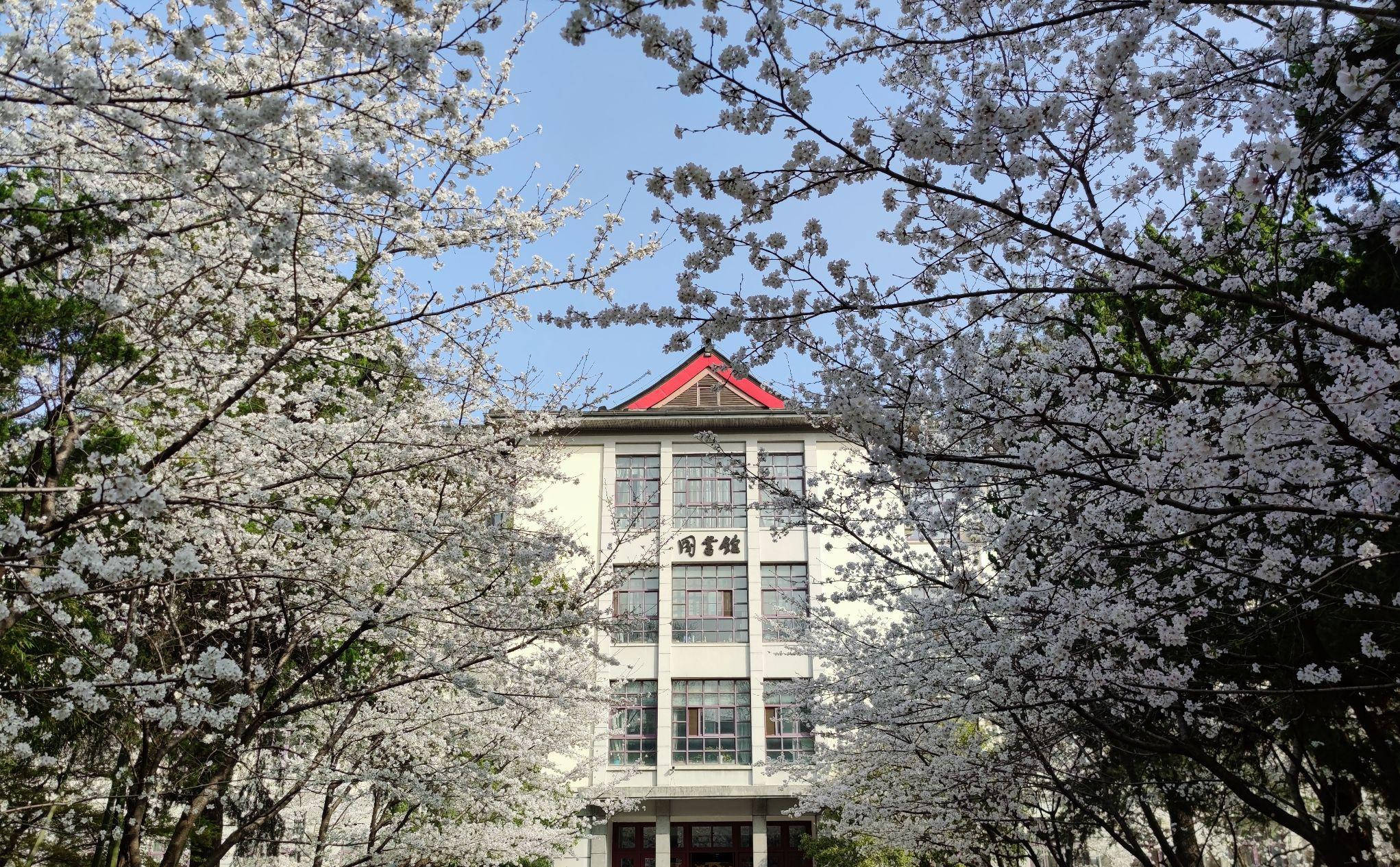 【2026高考】南京林业大学转专业成功率超80%，26届保研762人，99.2%进入双一流高校
