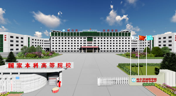 63%跃升的背后：哈尔滨剑桥学院2025届考研全景透视