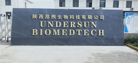 桑黄精粉养生价值与科学解析