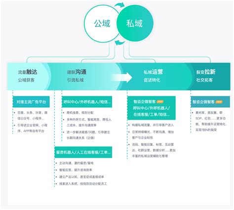 高效私域管理与客户关系优化的战...