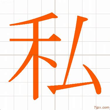 私域管理实践：提升客户关系与品...