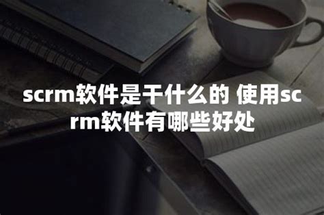 高效SCRM开发引领企业私域流量管...